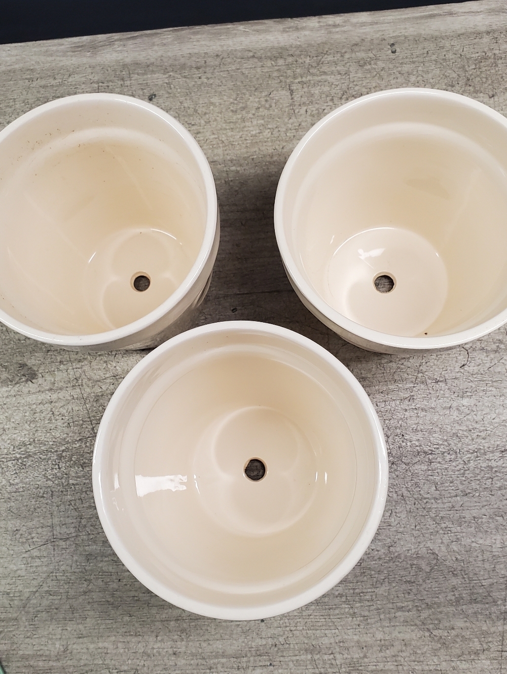 3 Rae Dunn planters with insect design - Picture 9 of 9